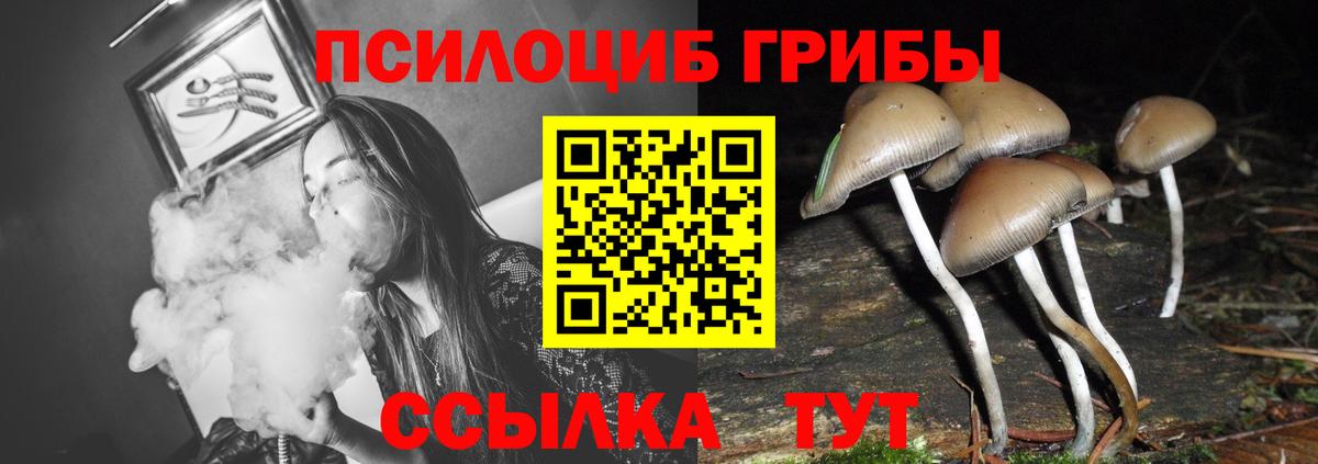 Псилоцибиновые грибы Cubensis  Галлюциногенные грибы Psilocybe  Вход с VPN  Артём 
