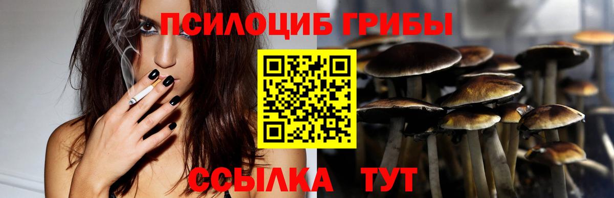 Псилоцибиновые грибы мухоморы Артём